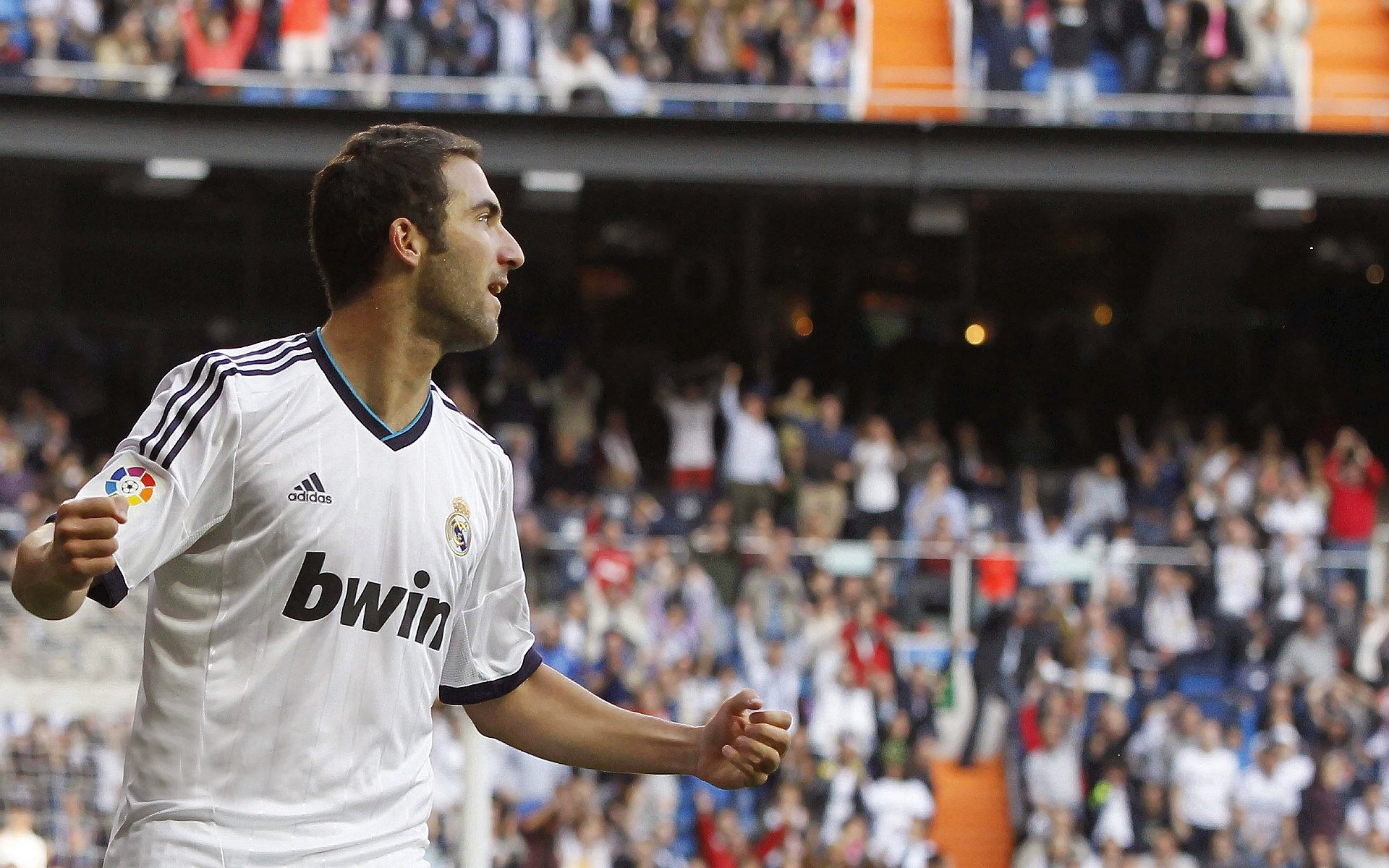 《热门赛事点评：冠军战的亮点一览》，冠军合集