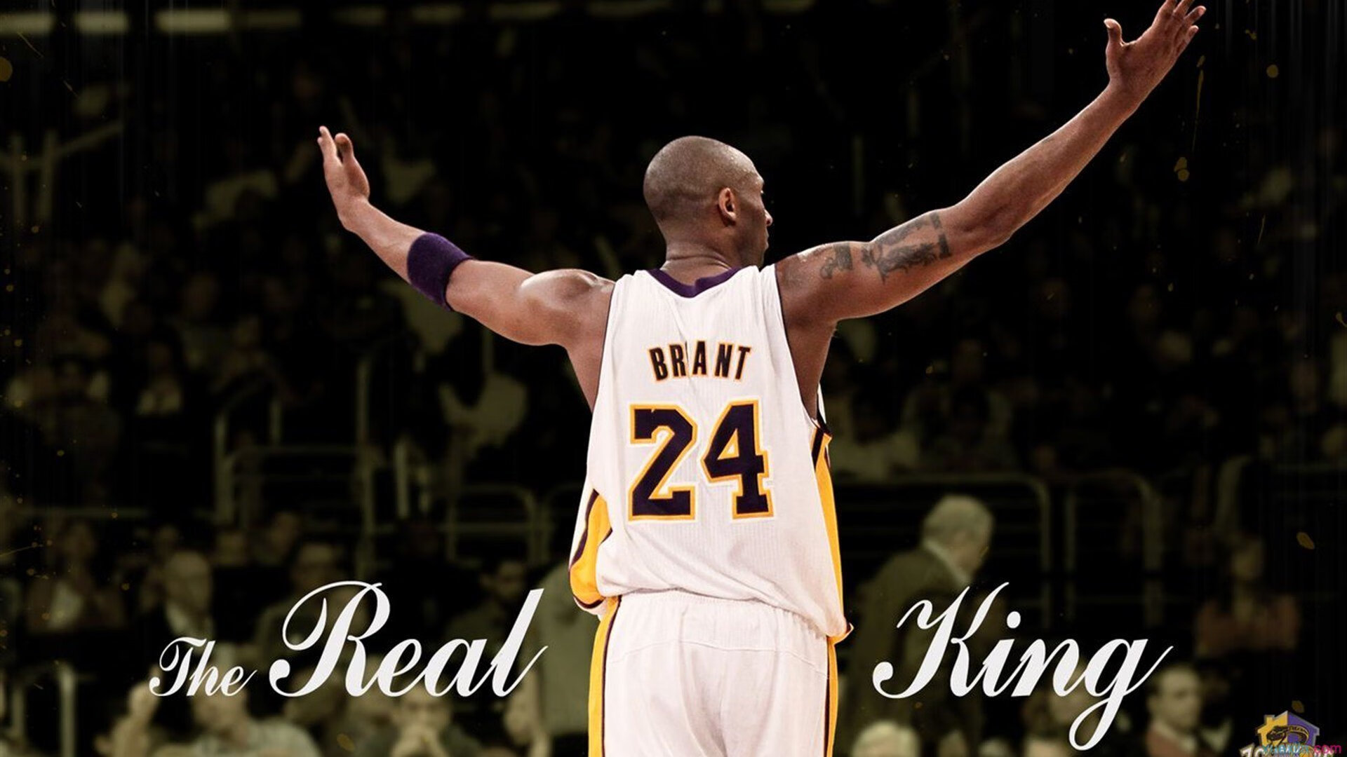 罗马2-0比闵迪奥，沙拉维和维纳托建功，罗马 维纳